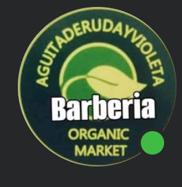 Logo Aguitaderudayvioleta